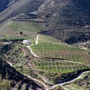 Chalet Cortijo El Rancho, Albanchez